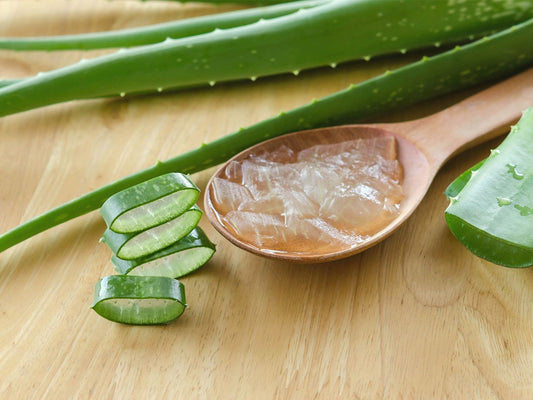 Tallow vs Aloe Vera: Which One's Actually Better for Your Skin? - INSHA