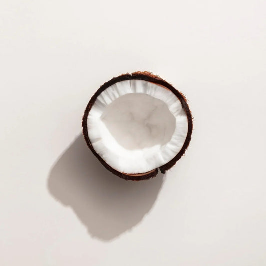 Tallow vs Coconut Oil - INSHA