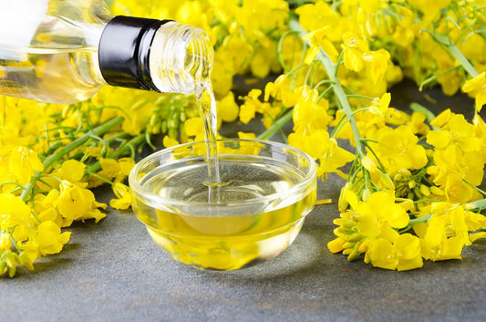 Tallow vs. Plant-Based Oils: Which is Better for Your Skin? - INSHA